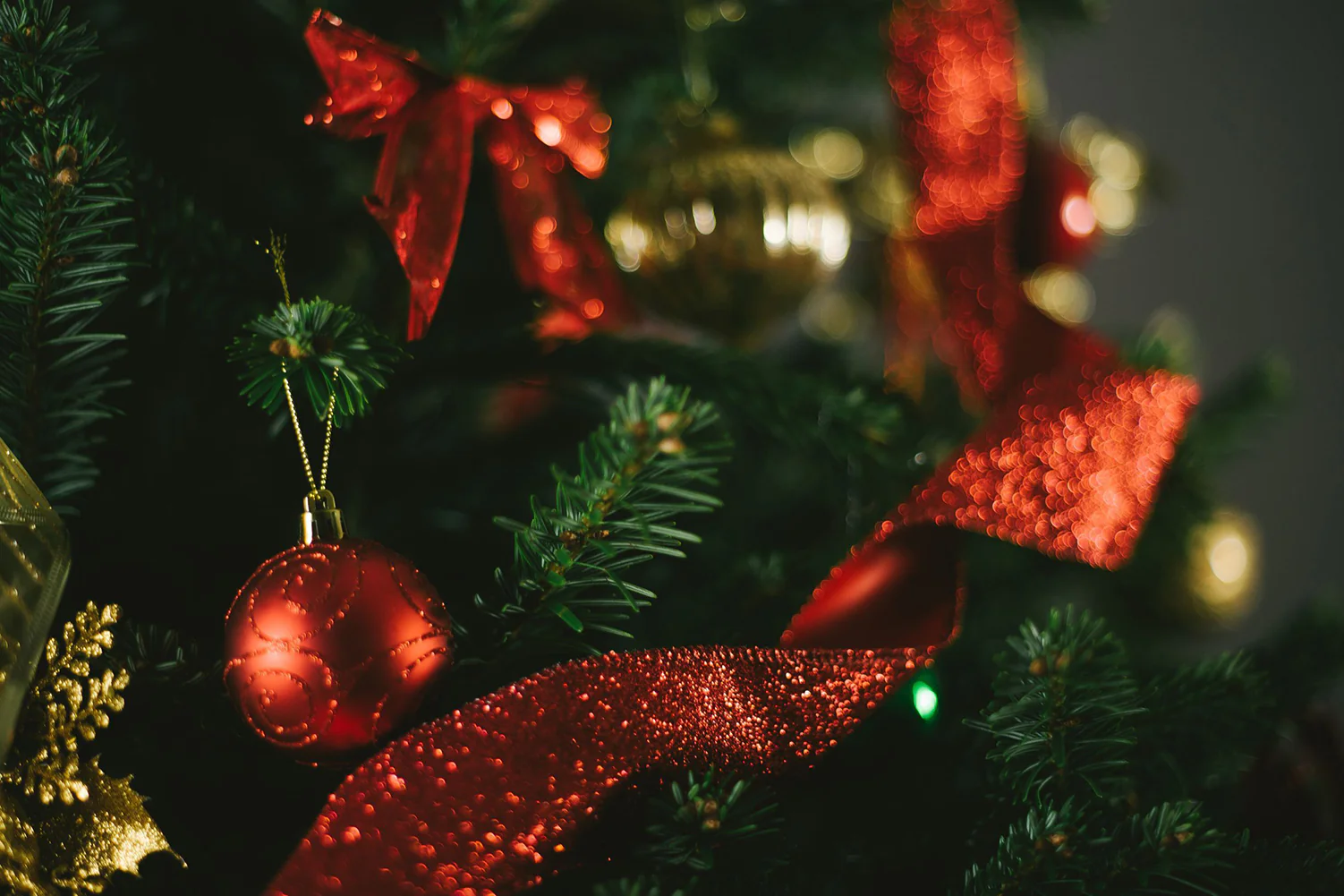 3ft Nordmann Fir Christmas Tree - Image 5